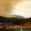 У Сибіру палають 119 гектарів лісу