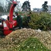 В Киеве открыли пункты утилизации новогодних елок