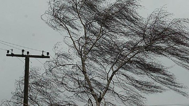 В Киеве из-за сильного ветра объявили штормовое предупреждение