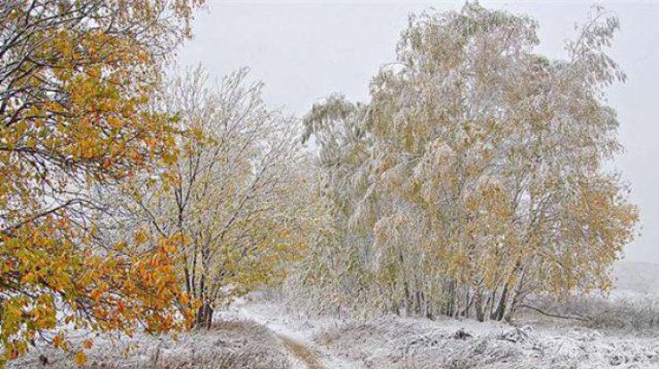 В Украине выпал первый снег (фото: vremyan.ru)