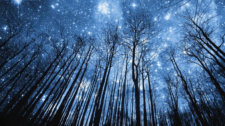 В ночь на субботу украинцев ожидает звездопад Орионид