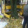 Во Львове маршрутка врезалась в дерево, пострадали 16 человек