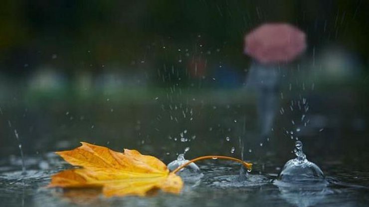 Украину зальют дожди 8 и 9 октября 