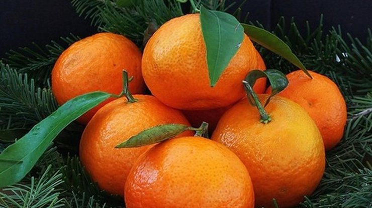 Благодаря витамину А мандарины улучшают кровоснабжение в области глазниц