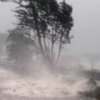В Коста-Рике жертвами урагана "Отто" стали девять человек