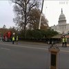 У Вашингтоні розпочали встановлення різдвяної ялинки