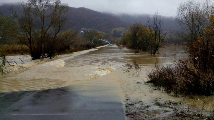 Дожди затопили Закарпатскую область