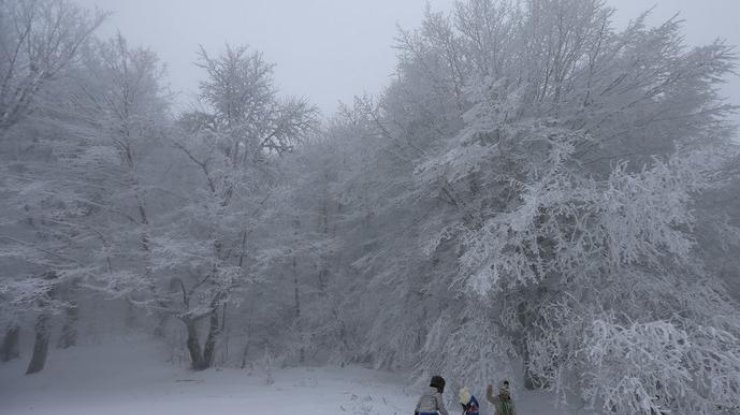 Ночью на Украину обрушится сильный снегопад  