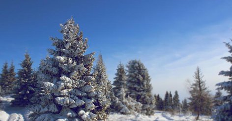 Лунный календарь на стрижку волос на июль 2015