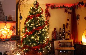 Новый год 2017: как украсить елку в год Петуха 