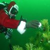 На дне Черного моря установили новогоднюю елку (фото)