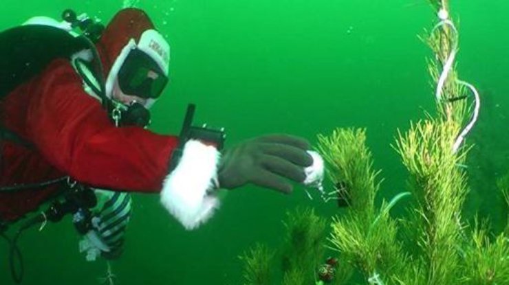 На дне Черного моря установили новогоднюю елку. Фото: mayak.org.ua