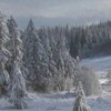 Погода на завтра: в Украину идут морозы из северной Европы