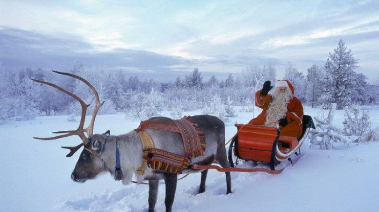 В США нашли "оленя из упряжки Санта-Клауса" (фото: epochtimes.ru)