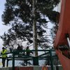 Новый год 2017: на Софийской площади устанавливают главную елку страны