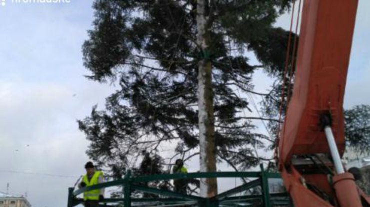 На Софийской площади устанавливают главную елку страны