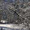 Погода на завтра: в Украину идут лютые морозы 