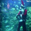 У Малайзії Санта розважав публіку підводними піруетами