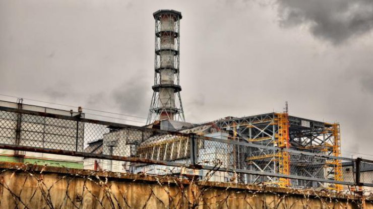 Ученые обнаружили жуткие мутации в Чернобыле