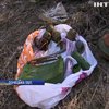 На Донеччині пес прикордонників знайшов схованку з боєприпасами 
