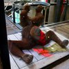 Microsoft протестировала игровую приставку на орангутангах (фото)