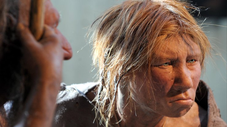 Ученые проанализировали ДНК костей неандертальцев и Денисовского человека