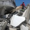В Эквадоре собака спасла 7 человек из-под завалов и умерла (фото)