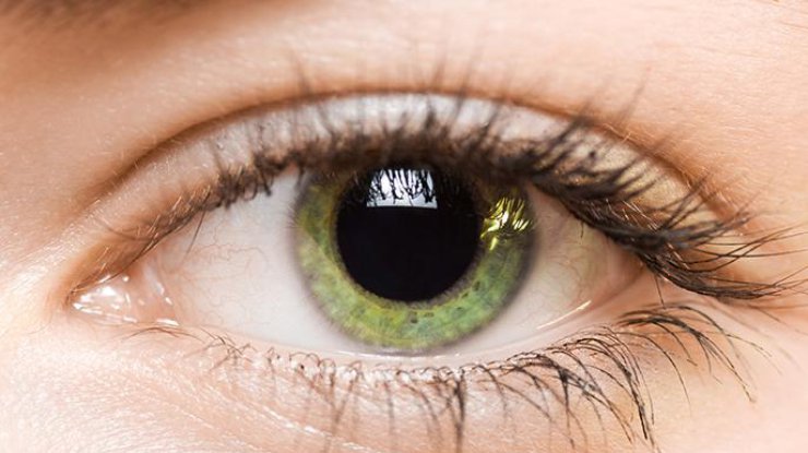 Компания Google создала электронный хрусталик для глаз