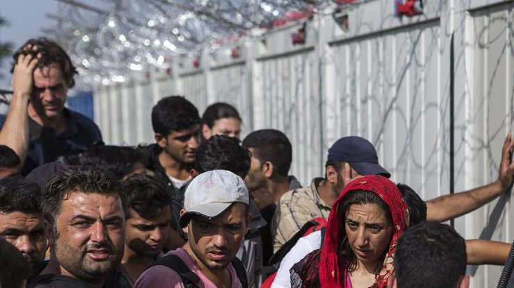 Развитые страны мира готовы принять у себя беженцев