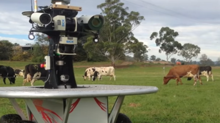 В Австралии коров будут пасти роботы / Фото: кадр из видео 