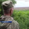 Комінтернове бойовики заставили ворожою технікою (відео)
