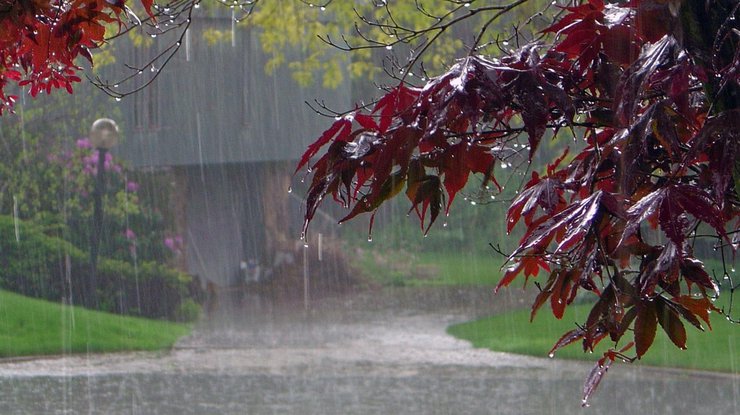 Начало лета в Украине будет мокрым и прохладным