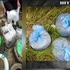 Под Киевом СБУ откопала 100 кг конопли