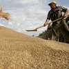 Украина побила рекорд по экспорту зерна