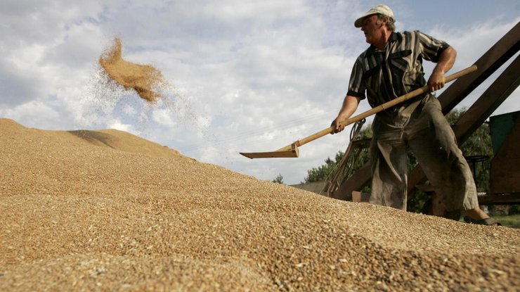 Украина экспортировала 36,5 млн тонн зерновых