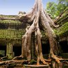 В Камбодже археологи нашли несколько древнейших городов