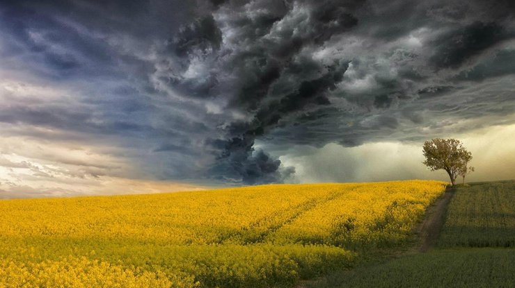 Синоптики рассказали, какой будет погода в Украине 14 июня