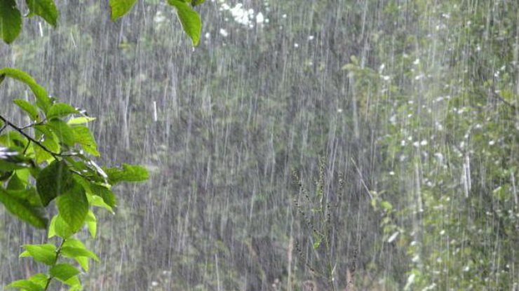 Погода в Украине на 15 июня: грозы, дожди и сильный ветер