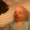 Реакция младенца на появление кота покорила пользователей сети (видео)
