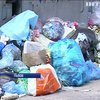 Жители Львова жалуются на переполненные мусорные баки