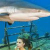 Известная модель снялась в опасной фотосессии с акулами (фото)