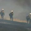 У Каліфорнії пожежі зайняли 30 гектарів лісу