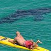 В Австралии акула растерзала серфингиста