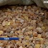 СБУ заявила о пропаже 700 кг янтаря в Ривненской области