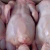 Саудовская Аравия увеличит импорт курятины из Украины