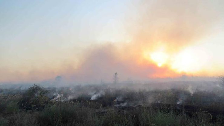 В Луганской области горит лес, уничтожены несколько домов 