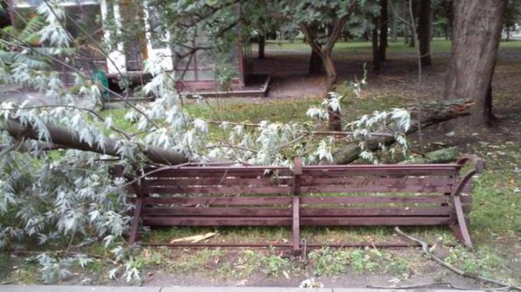 Буря в Харькове вырвала деревья и разрушила автобусные остановки 