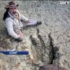 У Болівії знайшли гігантський слід динозавра