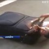 Африканець спробував пробратися до Швейцарії у валізі