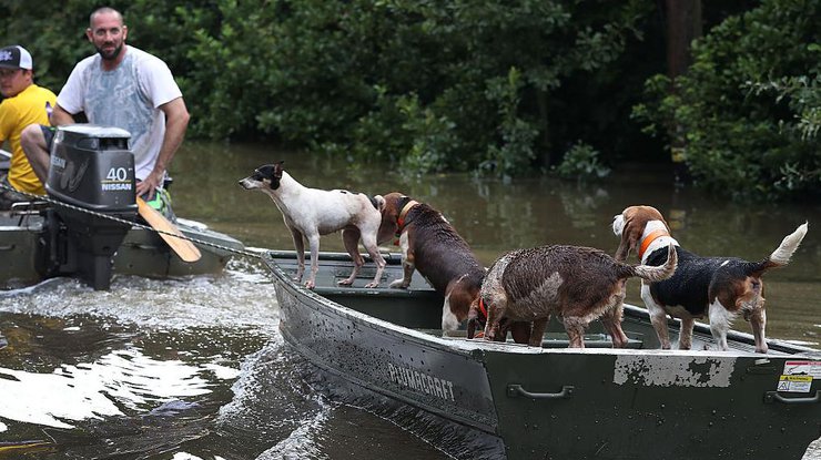 Наводнение в Луизиане: как местные жители справляются со стихией